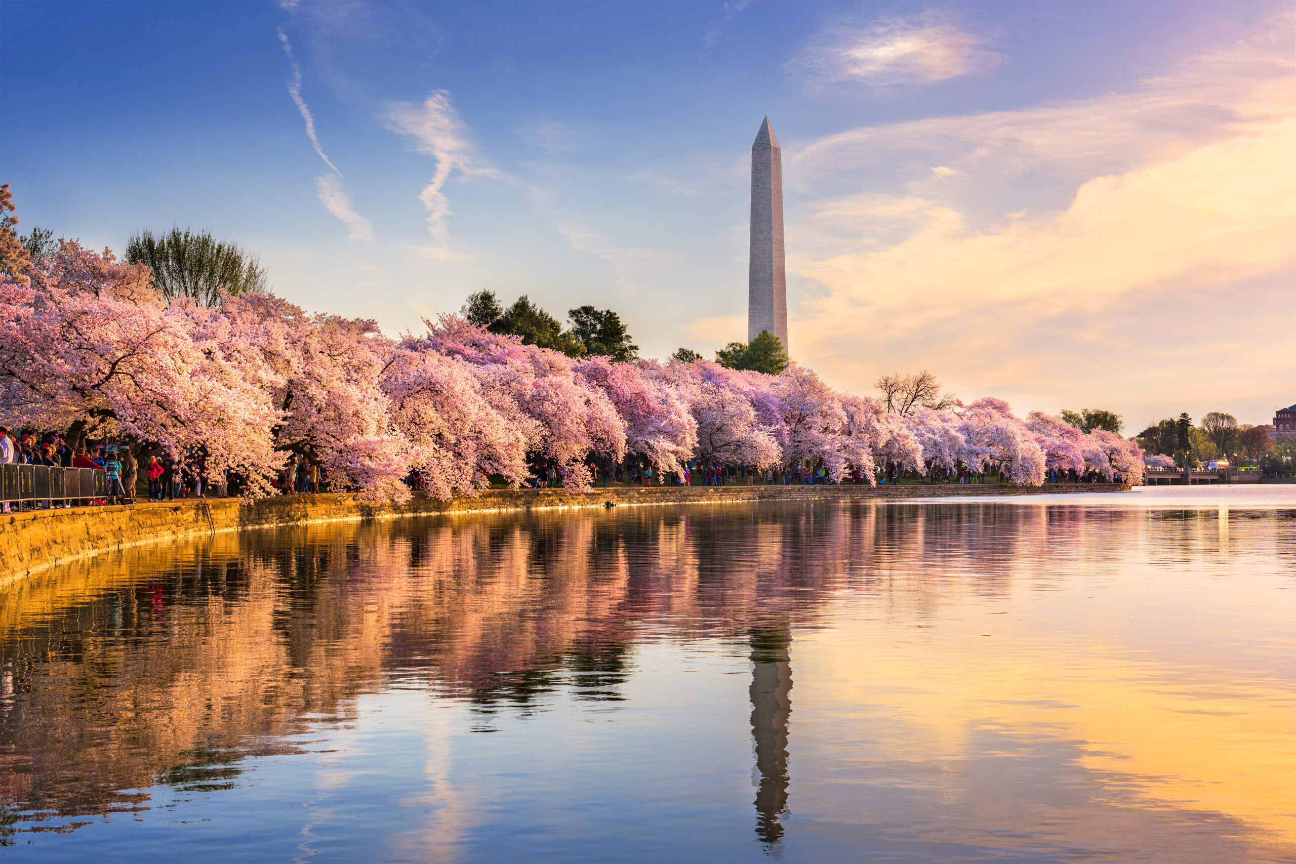 Image of Washington DC 2 clientState